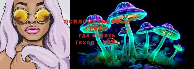 Галлюциногенные грибы Psilocybine cubensis  Димитровград 